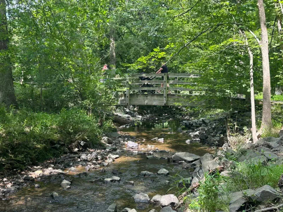 Walking across bridge over Wolf Trap creek with a stroller (staff photo by Angela Woolsey)