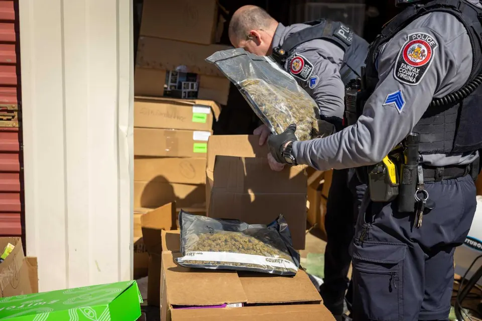 Marijuana recovered by Fairfax County Police (photo via FCPD/Flickr)