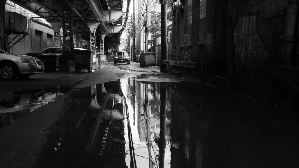 Exploring light, dark... and contrasts. “After the Rain,” by Susan Sanders. Courtesy FCA.