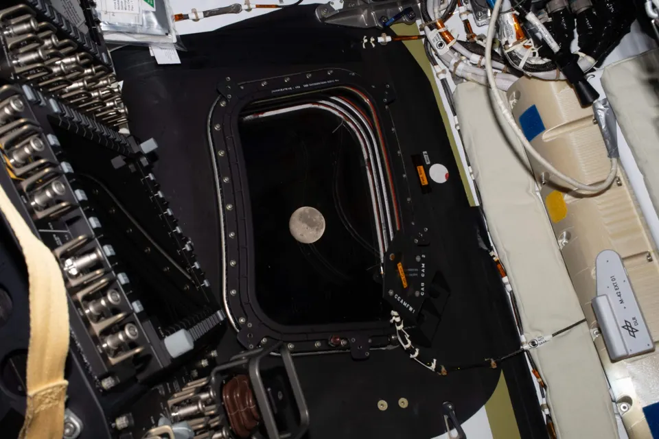 NASA Artemis Moonshot