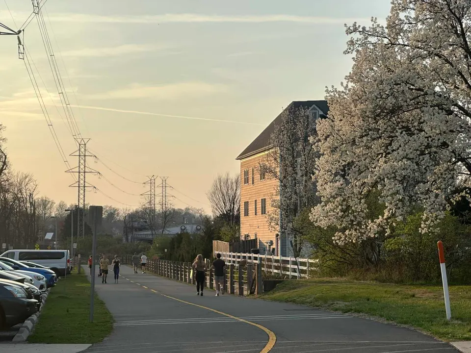 People walking and jogging on the W&OD Trail in Vienna near a flowering tree (staff photo by Angela Woolsey)