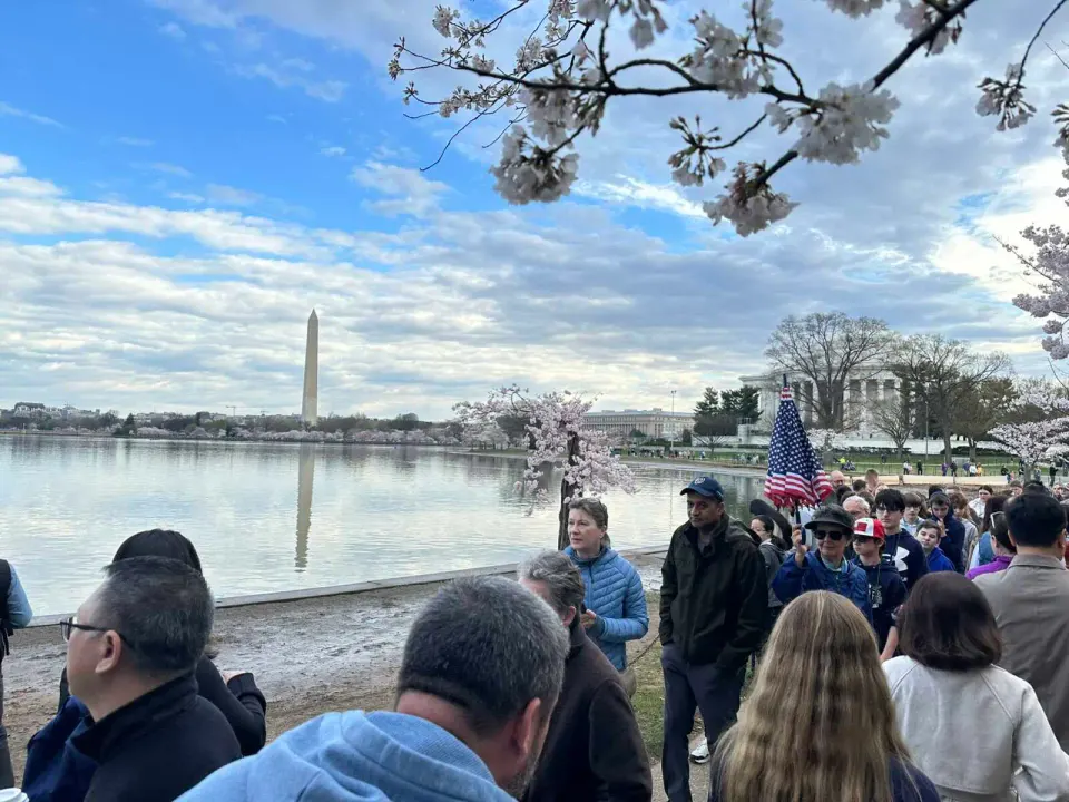 Visitors crowd the Tidal Basin for cherry blossom season in 2024 (staff photo by Angela Woolsey)