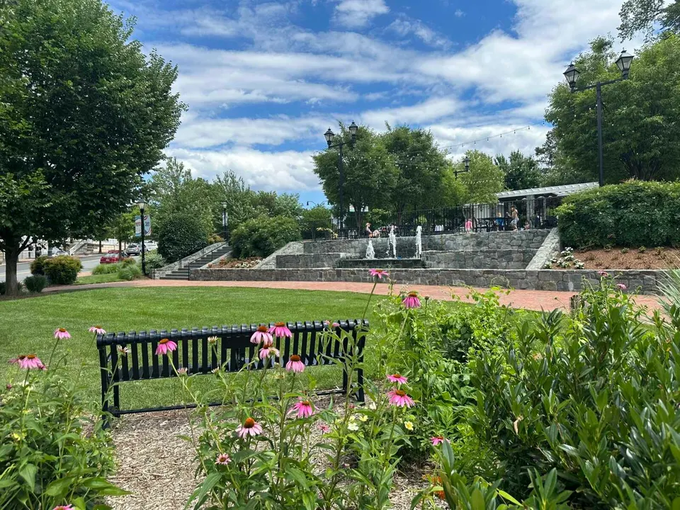 Pink flowers bloom in Old Town Square in Fairfax City (staff photo by Angela Woolsey)