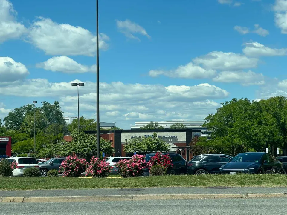 Flowers along Gallows Road near former Uno Pizzeria in Merrifield (staff photo by Angela Woolsey)