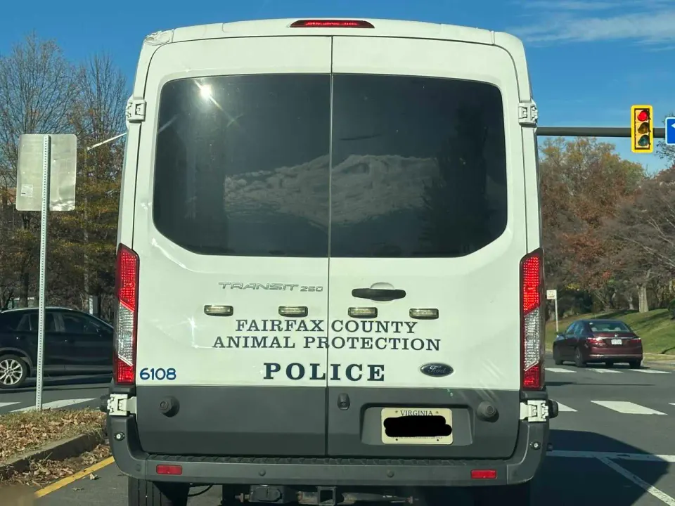 A Fairfax County Animal Protection Police van (staff photo by Angela Woolsey)