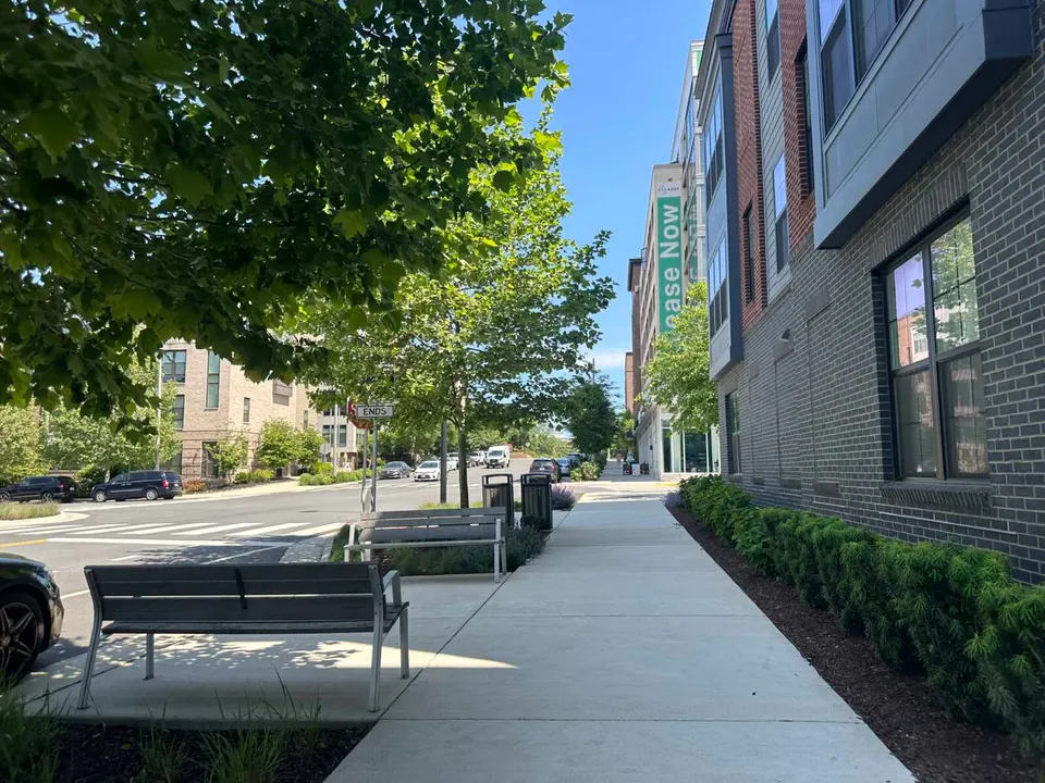 Benches and trees along Reston Station Blvd near the Faraday Park apartments (staff photo by Angela Woolsey)
