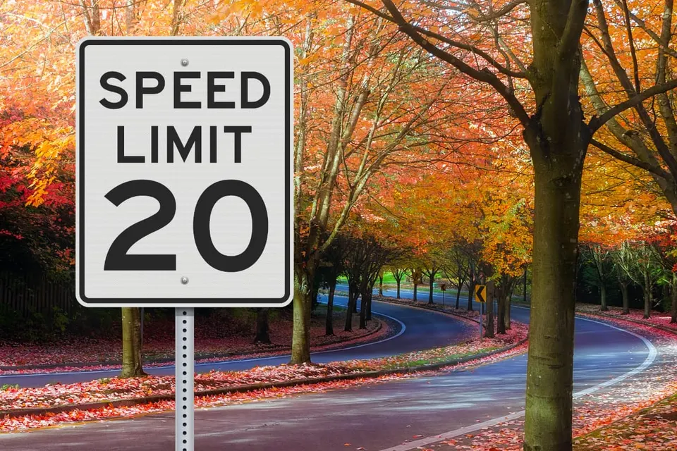 A 20-mph speed limit sign (via Fairfax County)