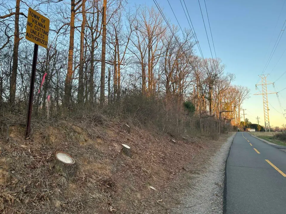 Tree stumps under Dominion Energy power lines along the W&OD Trail in Vienna (staff photo by Angela Woolsey)