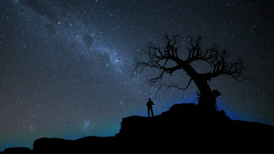 Photo by Vincent Chin.