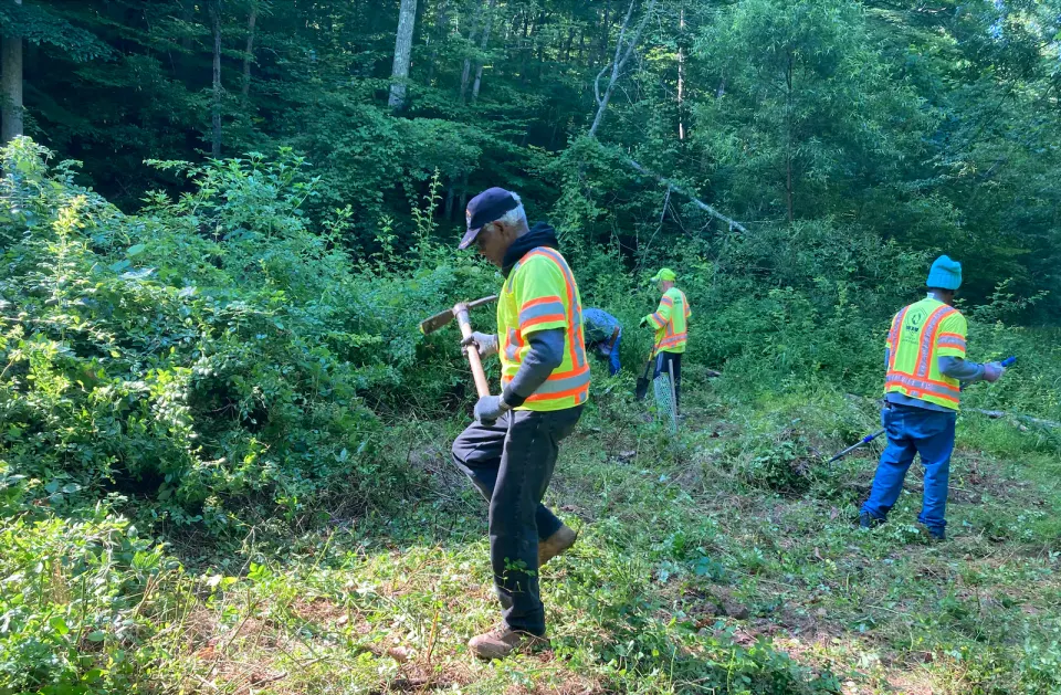 Fairfax Tree Rescuers - PRISM will be holding a Week of Action (starting Nov. 9) in Falls Church and across Fairfax County dedicated to removing invasive species threatening...