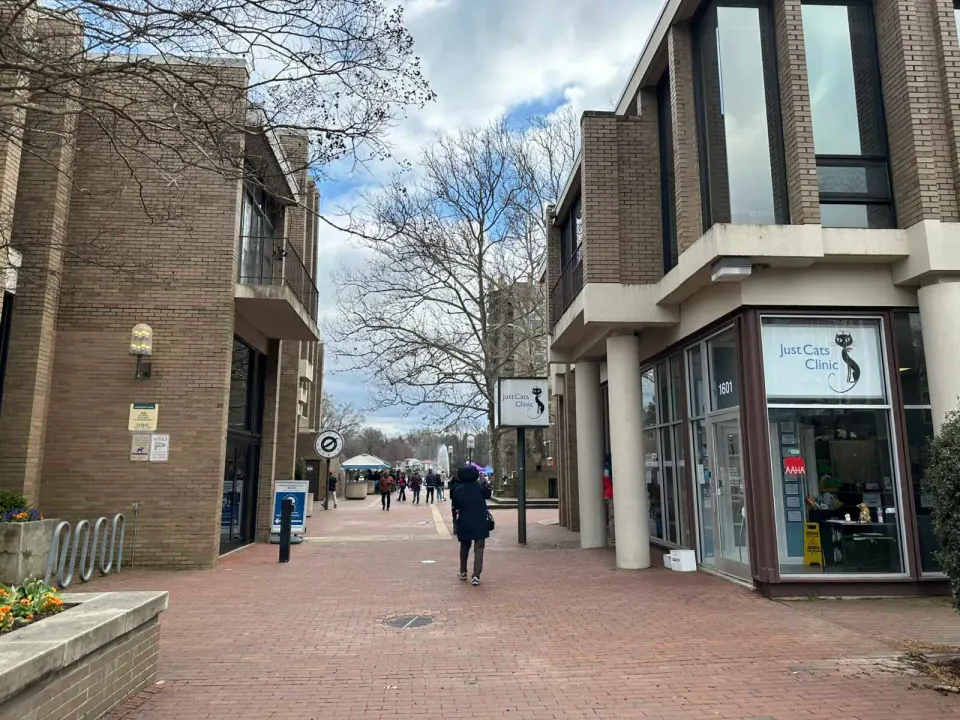Entering Lake Anne Plaza in Reston next to Just Cats Clinic (staff photo by Angela Woolsey