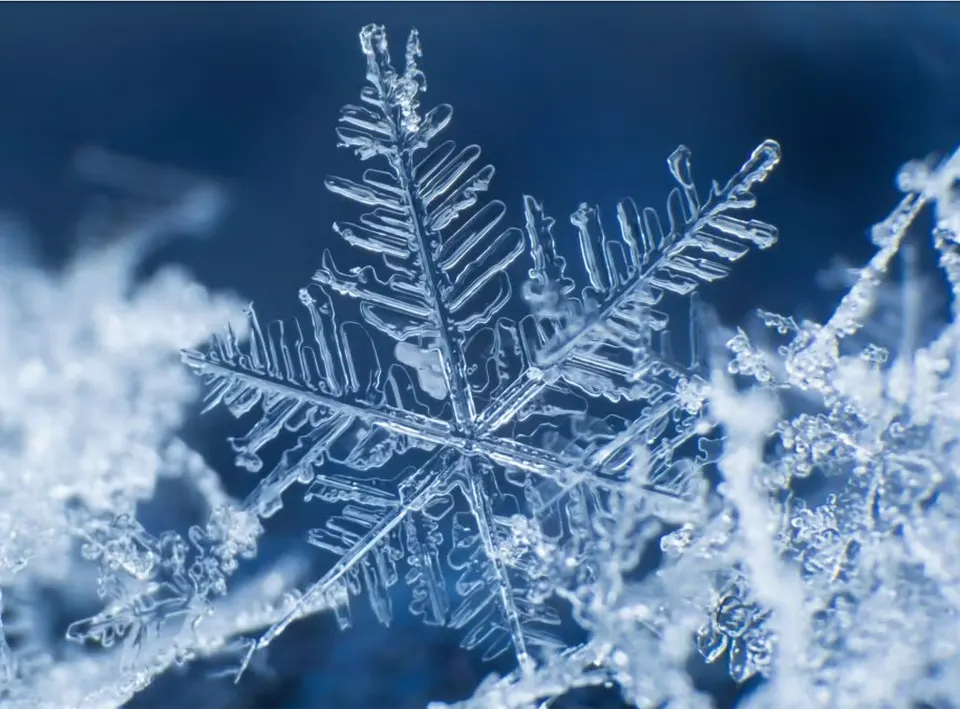 "But there are different types of snowflakes...." Courtesy Scott Jared, UNC.