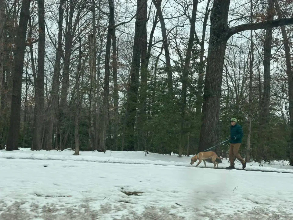A man walks a dog along South Lakes Drive in Reston with snow on the ground (staff photo by Angela Woolsey)