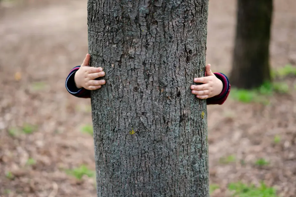 "Who's not ready? Holler Aye!" How much Hide and Seek did you play as a kid? Photo by Alex P.
