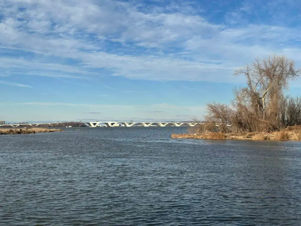 The Woodrow Wilson Memorial Bridge seen from the Dyke Marsh Wildlife Refuge in Belle Haven (staff photo by Angela Woolsey)