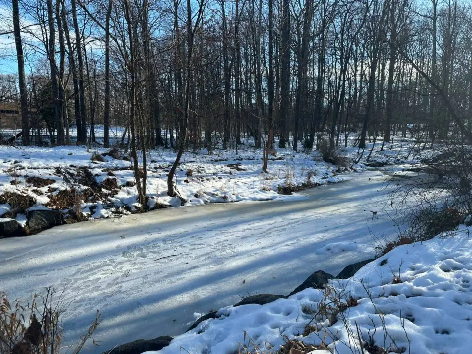 The surface of Wolftrap Creek turned to ice after snowstorms in January 2025 (staff photo by Angela Woolsey)