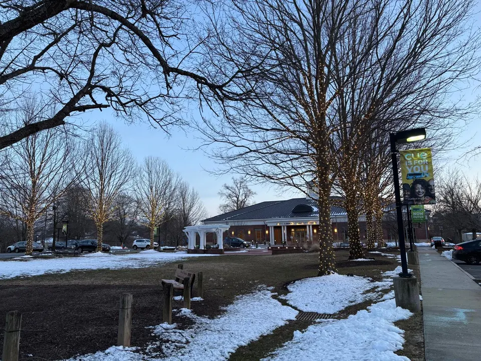 Lights wrap around trees in the green space outside the Stacy C. Sherwood Community Center in Fairfax City (photo by Amy Woolsey)