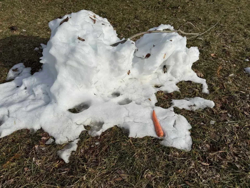 A melted snowman in McLean (staff photo)