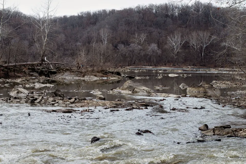 sewage in potomac river