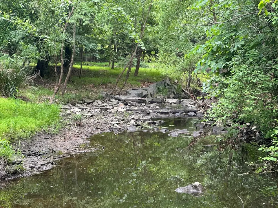 Wolftrap Creek in Vienna on May 22, 2026 (staff photo by Angela Woolsey)
