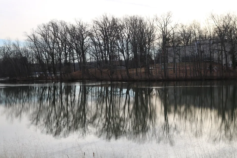Dalecarlia Reservoir