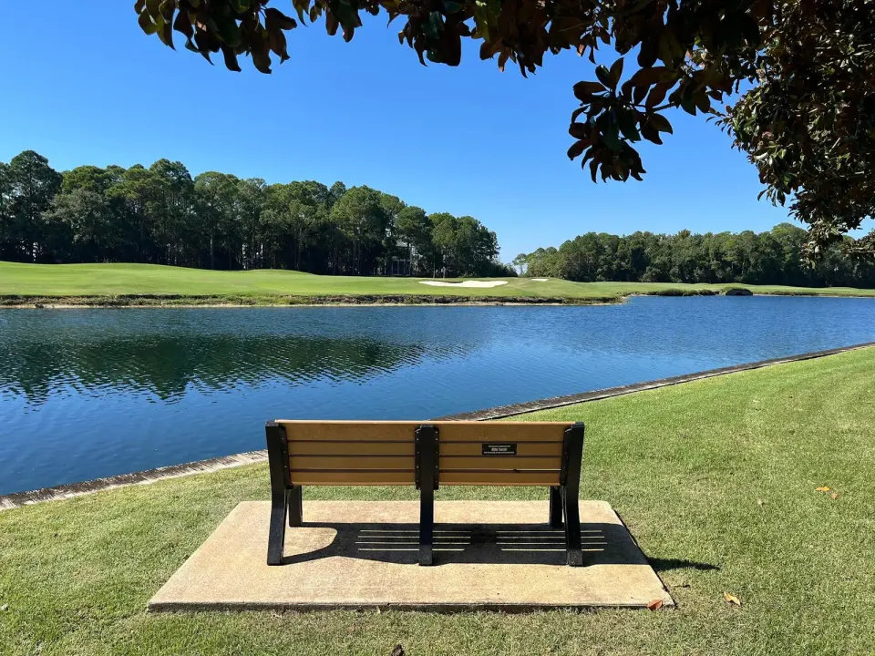 "It seems the mere sum of $800 buys the use of the bench for three years...." Photo courtesy Carol McEwen.