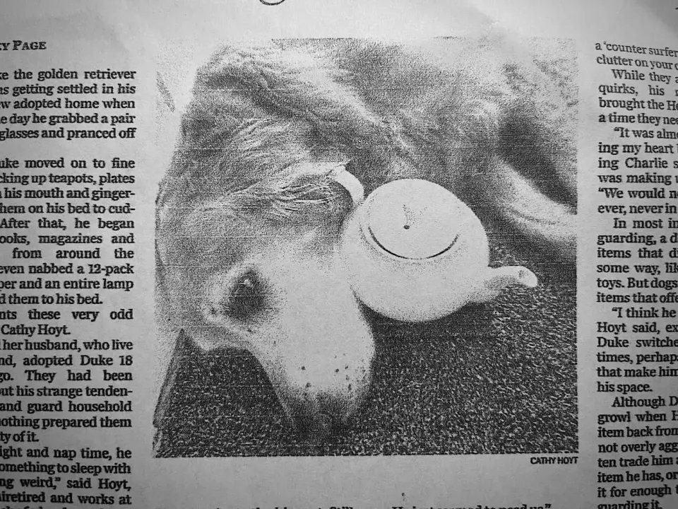 "But I had no idea how lucky I was until I read a piece in the October 12 issue of The Washington Post...."