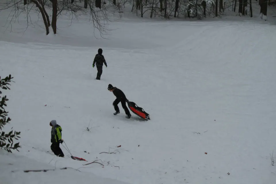 Sledding on Burke hill (staff photo by Dave Facinoli)