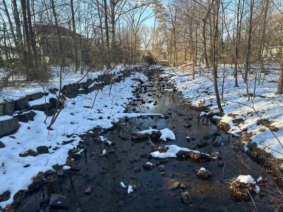 Snow along Wolftrap Creek in Vienna (staff photo by Angela Woolsey)