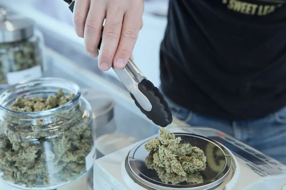 Person weighs marijuana (via Add Weed/Unsplash)