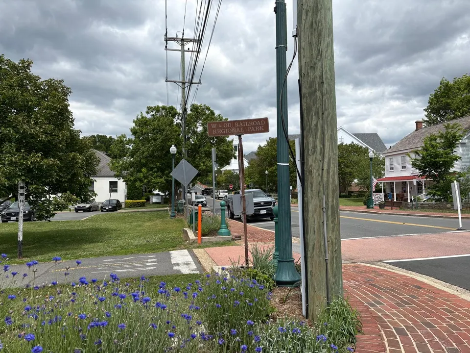 Flowers by the Washington & Old Dominion Trail crossing at Church Street in Vienna (photo by Amy Woolsey)