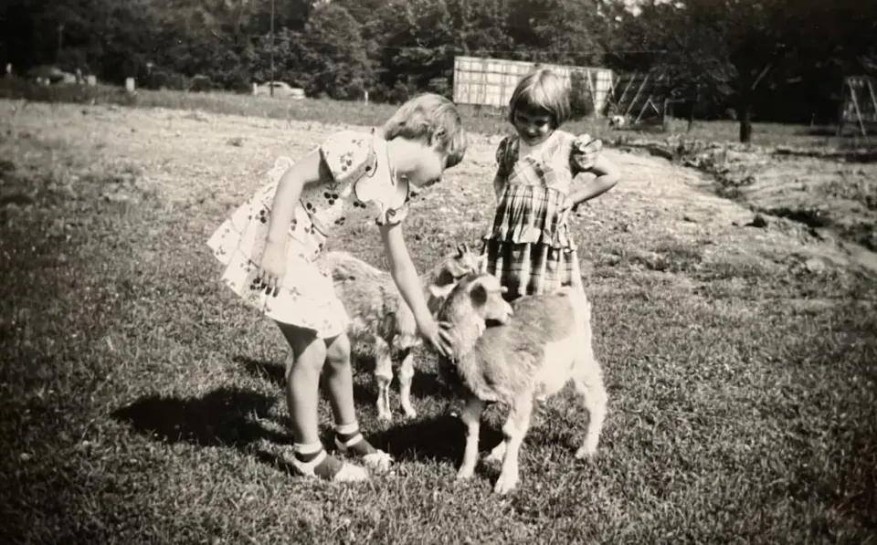 "After we’d used up all our ten-cent tickets, we’d visit the baby goats and feed them pellets from a 25-cent cup. This black and white photo shows my childhood friend, Cheryl,...