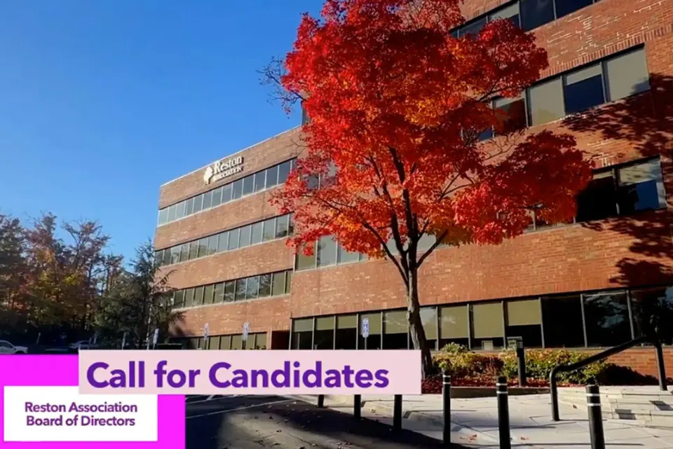 Join the RA Board of Directors