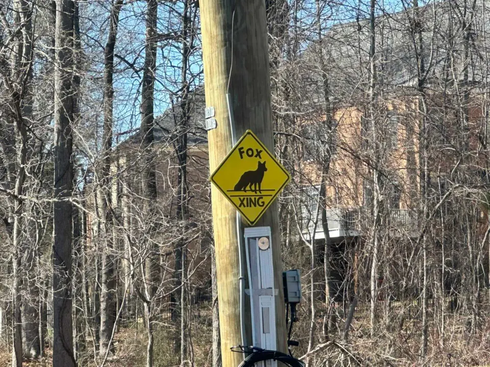 A fox crossing sign on an electric pole along Idylwood Road in Dunn Loring (staff photo by Angela Woolsey)