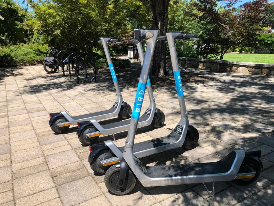 Bird scooters parked at the Vienna Town Green (staff photo by Angela Woolsey)