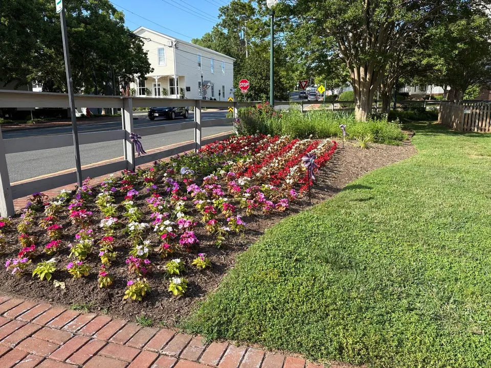 Red, purple and pink flowers planted at the Vienna Town Green (photo by Amy Woolsey)