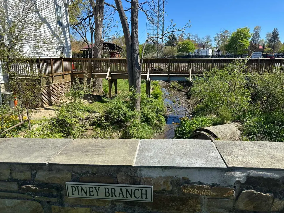 Piney Branch Stream near the Freeman House in Vienna, seen on April 11, 2026 (staff photo by Angela Woolsey)