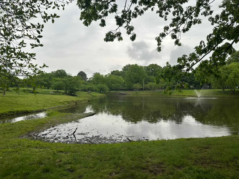 Pond near George Mason University’s Center for the Performing Arts Concert Hall (staff photo by Angela Woolsey)