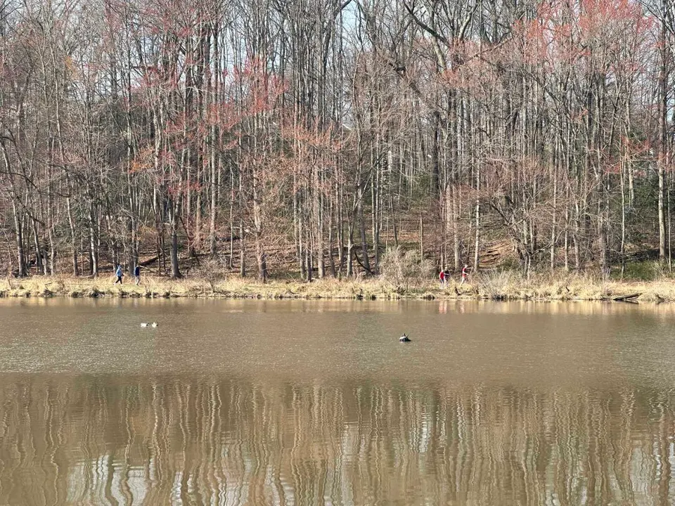 People walk along Royal Lake in Kings Park West with turtles and ducks on the water (staff photo by Angela Woolsey)