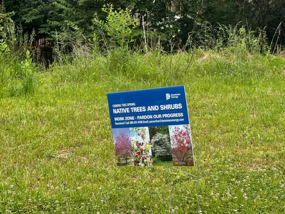 NOVA Parks and Dominion Energy have been replanting cleared areas along the W&OD Trail with native trees and shrubs (staff photo by Angela Woolsey)